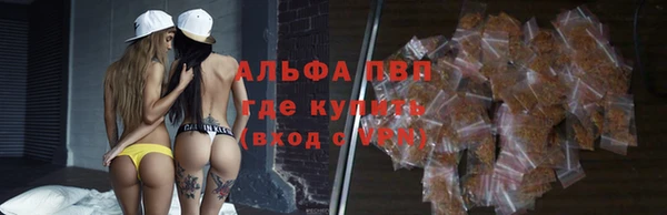 хмурый Покачи