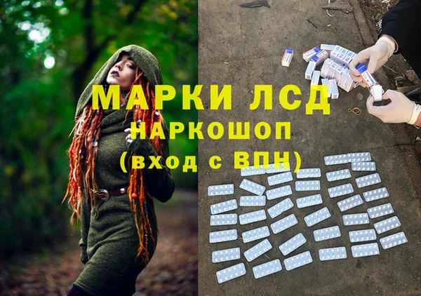 PSILOCYBIN Покров