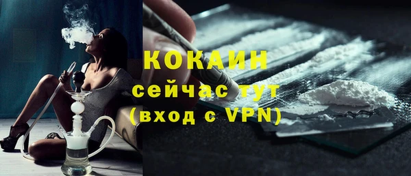 PSILOCYBIN Покров