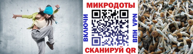 MEGA ТОР  Лакинск  Галлюциногенные грибы мицелий 